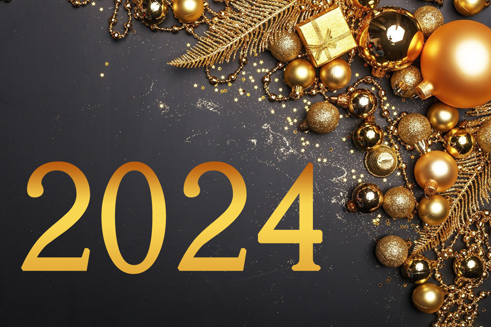 С Новым 2025 годом!